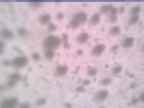 20250326_074002-1.jpg 
