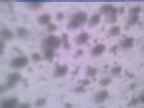 20250326_080002-1.jpg 