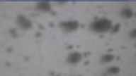 20250326_090002.jpg 
