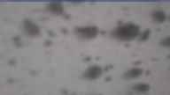 20250326_092002.jpg 