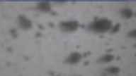 20250326_094001.jpg 