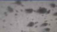 20250326_100002.jpg 