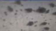 20250326_102002.jpg 