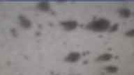 20250326_104002.jpg 