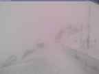 20250327_072002-1.jpg 