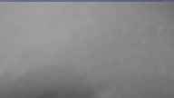 20250328_120002.jpg 