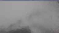 20250328_122002.jpg 
