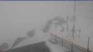 20250328_130002.jpg 