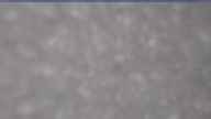 20250329_064002.jpg 