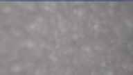 20250329_070001.jpg 