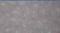 20250329_084002.jpg 