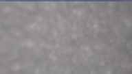 20250329_090002.jpg 