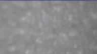 20250329_104002.jpg 