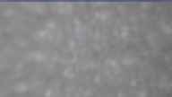 20250329_110002.jpg 