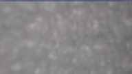 20250329_130002.jpg 