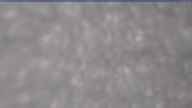20250329_150002.jpg 