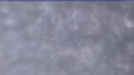 20250331_064002.jpg 
