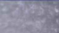 20250331_070002.jpg 