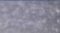 20250331_074002.jpg 