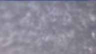 20250331_080002.jpg 