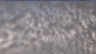 20250331_100002.jpg 