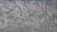 20250331_140002.jpg 