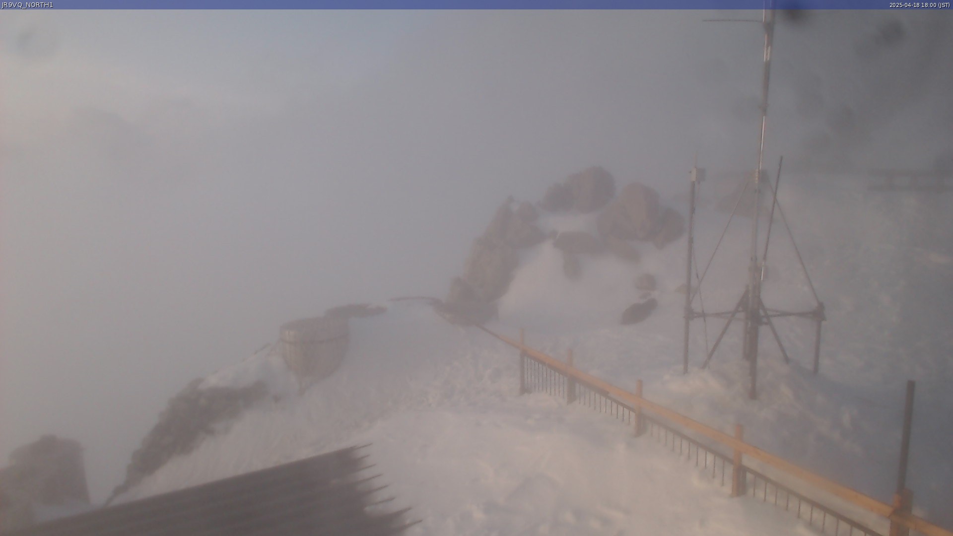 live camera picture