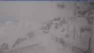 20250402_080002.jpg 