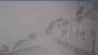 20250402_090002.jpg 