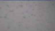 20250403_064002.jpg 