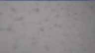 20250403_070002.jpg 