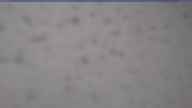 20250403_072002.jpg 