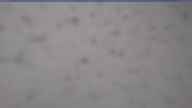 20250403_074002.jpg 