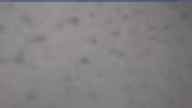 20250403_080001.jpg 
