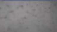 20250403_084001.jpg 