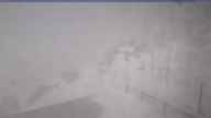 20250403_140001.jpg 
