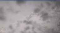 20250404_104001.jpg 
