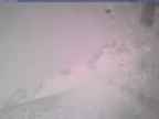 20250404_132001-1.jpg 