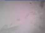 20250404_140001-1.jpg 