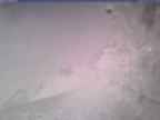 20250404_142001-1.jpg 