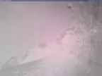 20250404_144002-1.jpg 