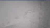 20250404_150001.jpg 