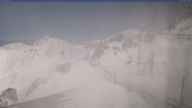 20250405_130001.jpg 