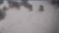 20250407_130001.jpg 