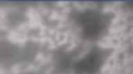20250409_070001.jpg 