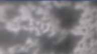 20250409_090002.jpg 