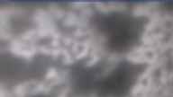20250409_094002.jpg 
