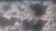 20250409_100001.jpg 