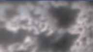 20250409_102002.jpg 