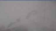 20250410_064001.jpg 
